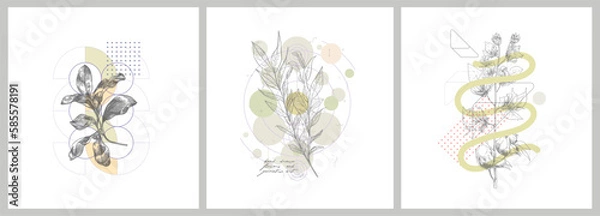 Fototapeta Foliage line art drawing with geometric shape. Hand drawn flowers and geometric art. Set of vector illustration.