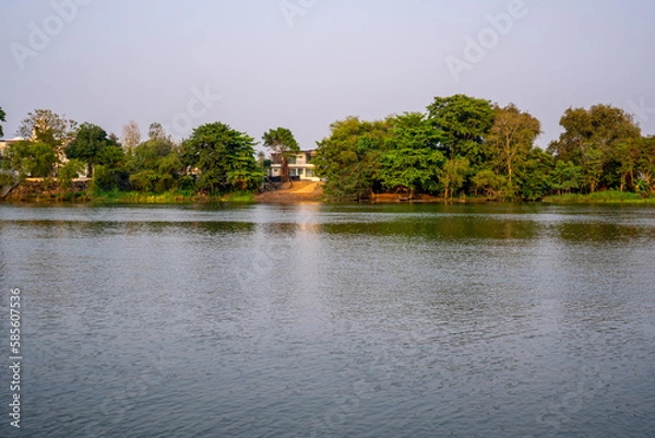 Fototapeta river and trees