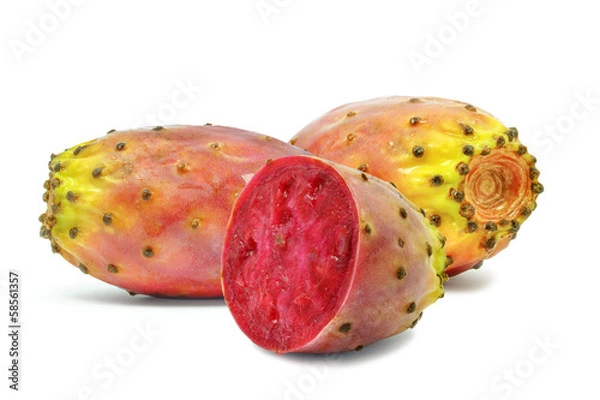 Obraz opuncje figowe