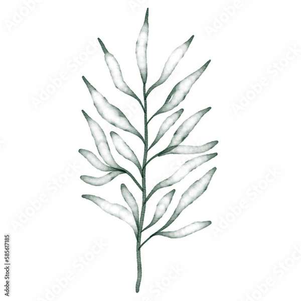 Fototapeta Green watercolor leaf hand painted for greeting card decoration and invitation card.