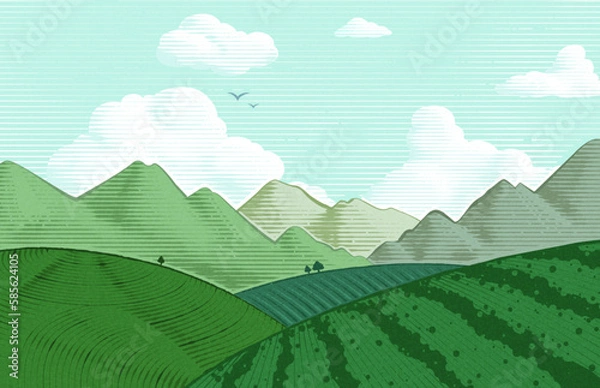 Obraz Engraved tea plantation landscape