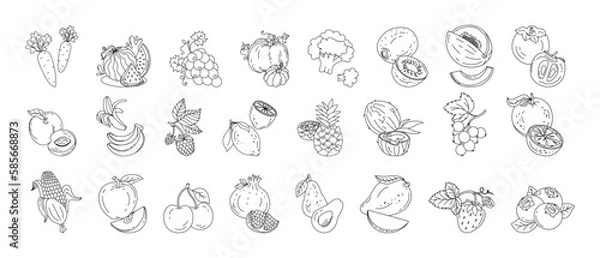 Obraz Fruits and berries doodle set Vector black and white illustration isolated on a white background