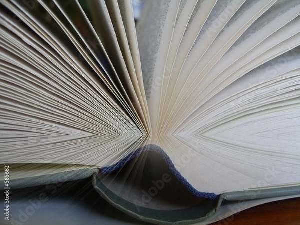 Fototapeta gutes buch
