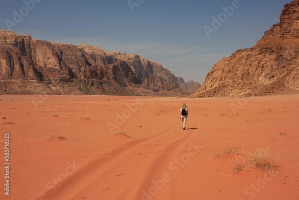 Fototapeta One woman walking in a Wadi Rum desert in Jordan, taken from the back