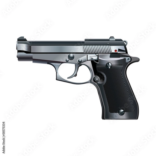 Obraz Pistol