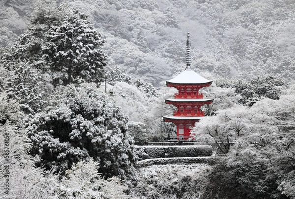 Obraz 京都、清水寺の雪景色