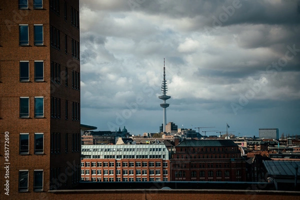 Obraz Bird eye view of Hamburg from