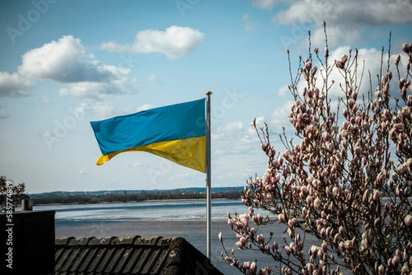 Obraz Ukraine flag  in the wind, Hamburg Germany
