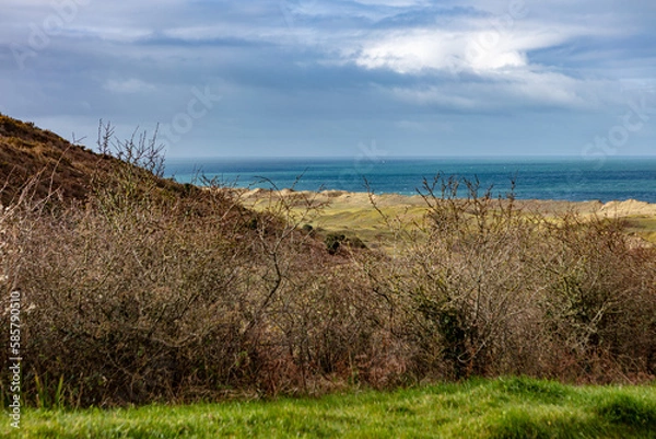 Fototapeta Dunes de Biville in France Normandy