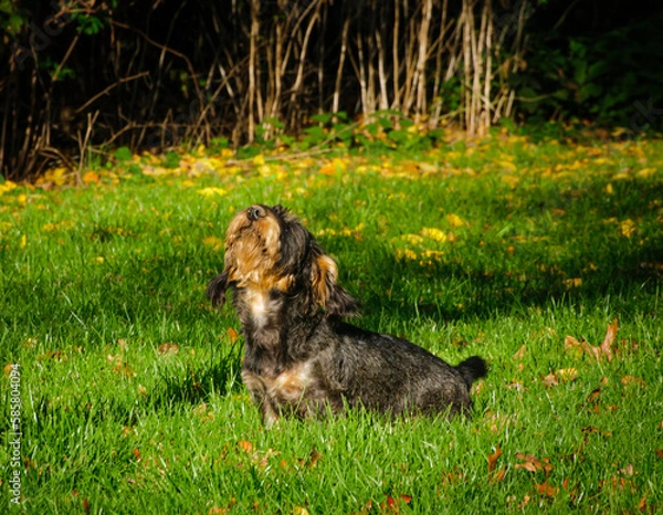 Obraz Guck in die Luft 