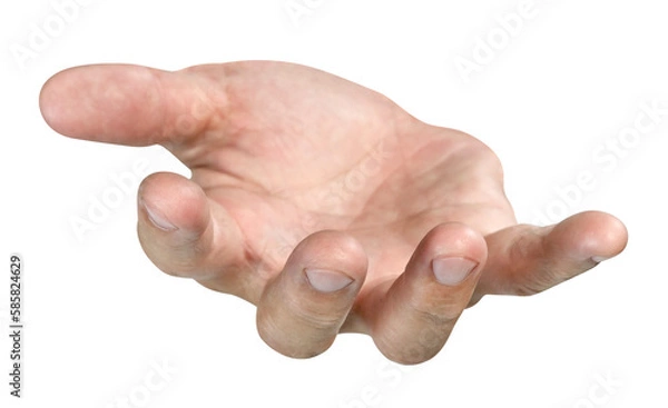 Obraz open the palm of the hand isolated