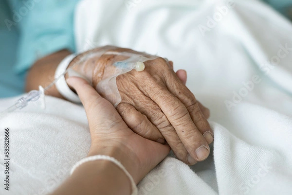 Fototapeta inpatient hand holding from relative or family, palm of an old man clasp his family member for energy support while stay in hospital for modern and high technology medical treatment by skillful doctor