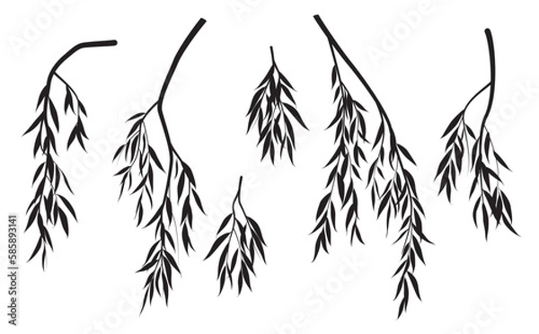 Fototapeta Silhouettes of Weeping Willow Branches with Leaves