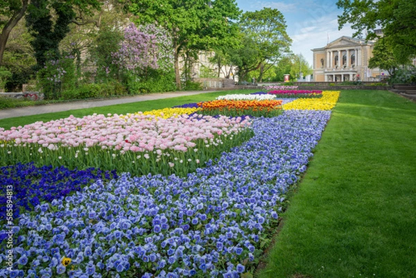 Obraz Blumen im Frühling vor der Oper in Halle Saale