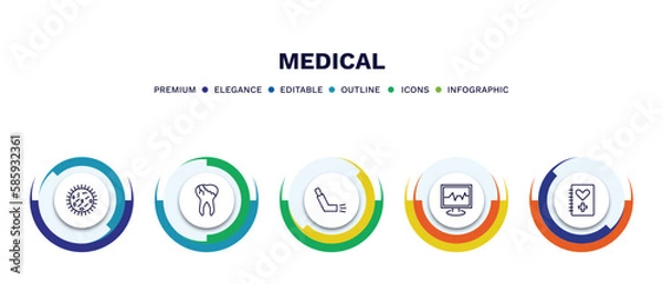 Fototapeta set of medical thin line icons. medical outline icons with infographic template. linear icons such as germs, caries, inhalator, ecg, medical history vector.