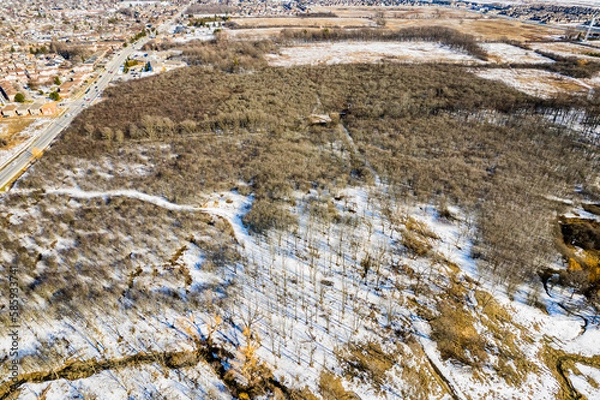 Obraz snow on the forest
