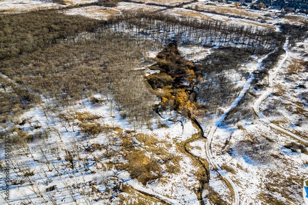 Obraz winter in the woods