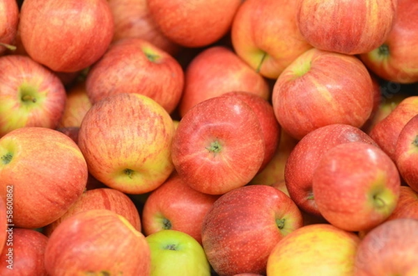 Fototapeta pommes dorées