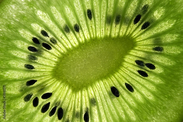 Obraz close up of a kiwi fruit inside with seeds