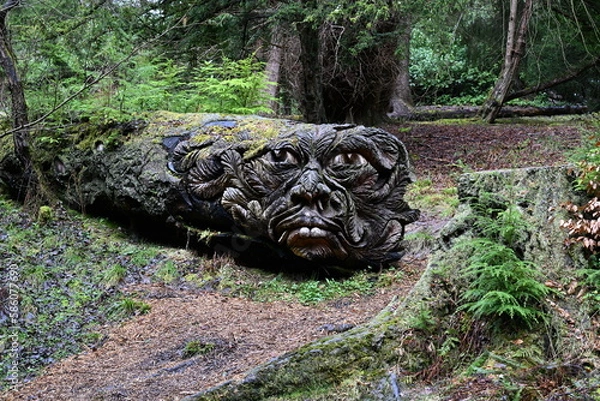 Fototapeta carved face on fallen log