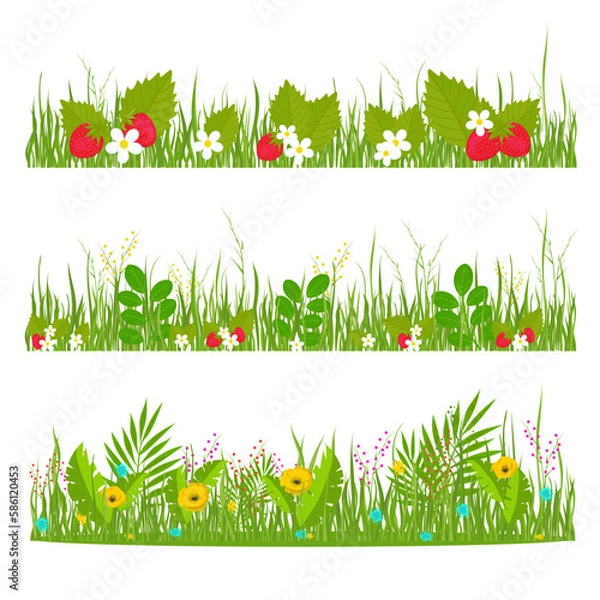 Fototapeta Grass, flowers, strawberries. Forest glade, meadow. Vector set. Horizontal design.