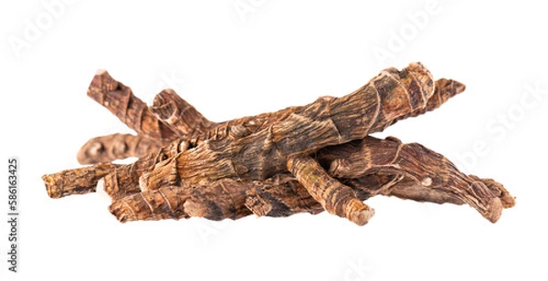 Obraz Calamus root isolated on white background. Sweet flag, sway or muskrat root, vasambu. Dry root of Acorus calamus.