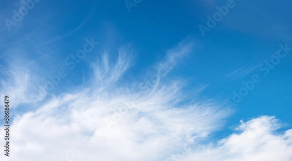 Fototapeta sky panorama with feathery Cirrus clouds and blue copy space above