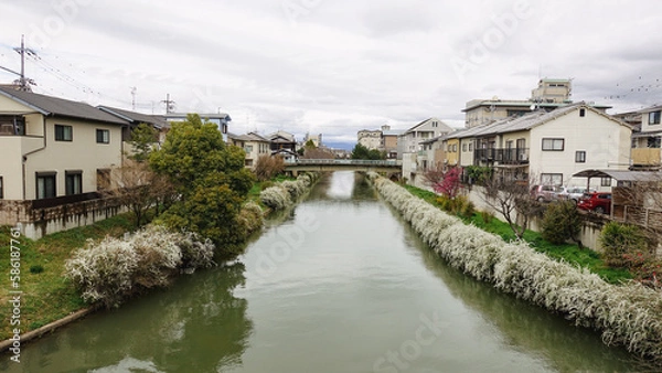 Obraz canal and houses