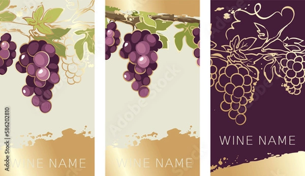 Fototapeta Collection labels for red wine. Vector illustration, set of backgrounds with gold patterns and gold strokes.	