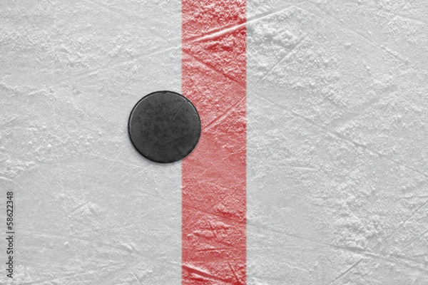 Obraz Puck on goal line