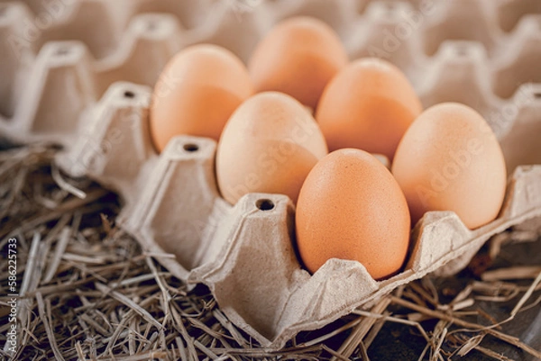 Obraz Chicken eggs on a straw for health