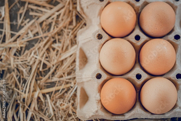 Obraz Chicken eggs on a straw for health