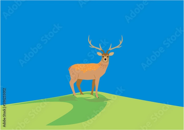 Obraz 夏の草原にたたずむエゾシカのオス