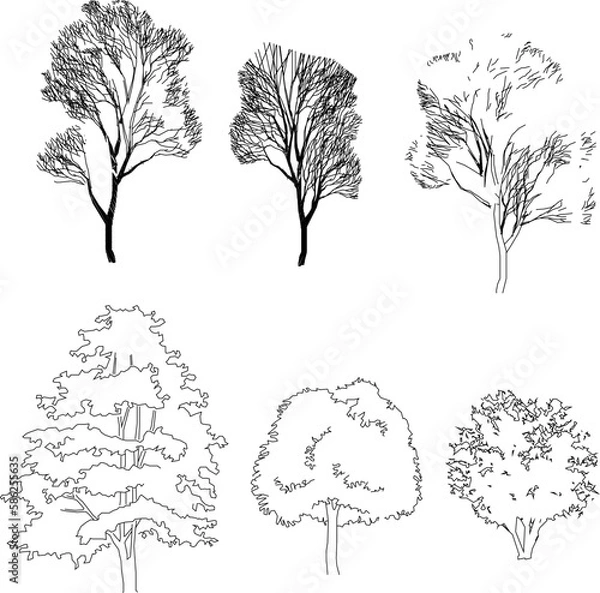 Fototapeta Big tree silhouette illustration vector sketch 