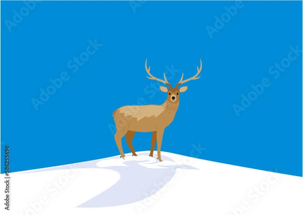 Obraz 青空の雪原にたたずむエゾシカのオス