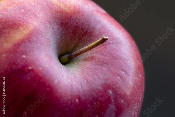 Obraz The Fully Close-up Of The Red Fresh Apple. Side View. Selective Focus. Macro. Concept Background.