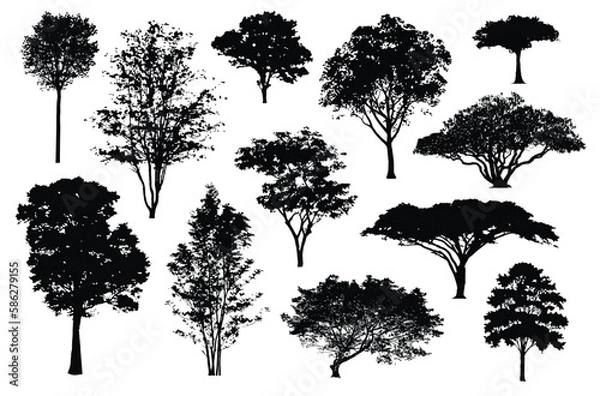 Obraz silhouette tree line, Side view, set of graphics trees elements outline symbol for architecture and landscape design drawing. Vector illustration in stroke fill in white. Tropical