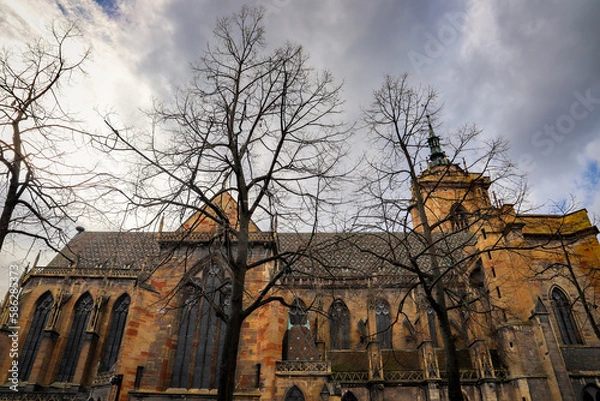 Fototapeta vue panoramique église cathédrale cachée derrière des arbres