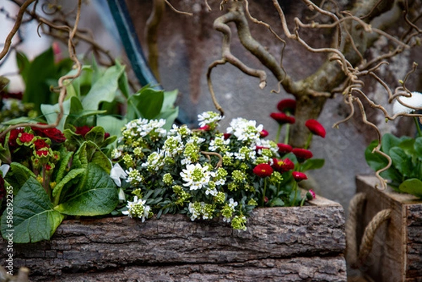 Fototapeta Blumenschmuck