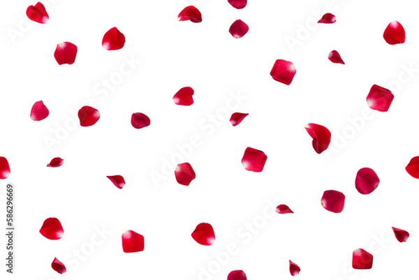 Fototapeta Seamless pattern of falling red rose petals isolated.