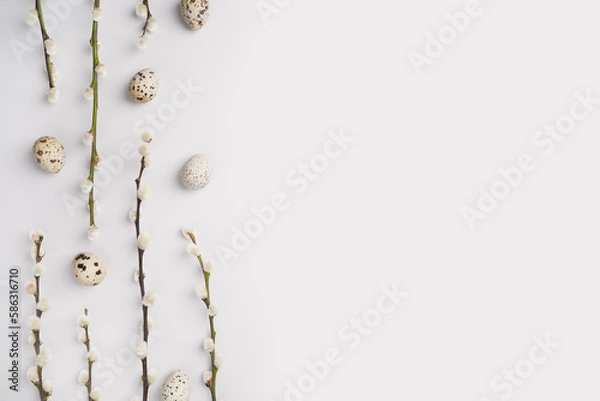 Obraz Eco Easter flat lay. Natural pussy willow branches and quail eggs on light grey background. Festive composition layout. Spring holiday postcard. Willow catkins and eggs template. Top view, copy space.
