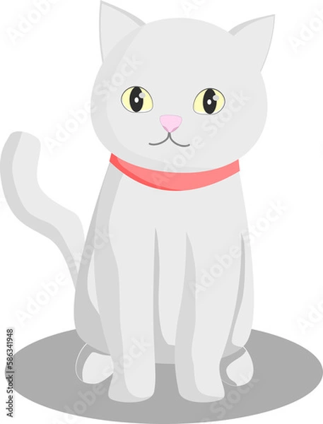 Fototapeta Cute light gray cat, minimal.