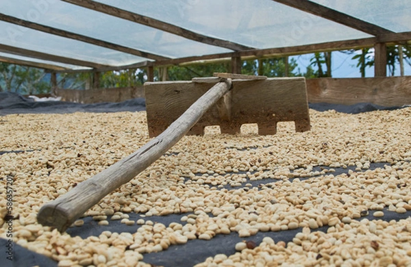 Obraz café de Colombia