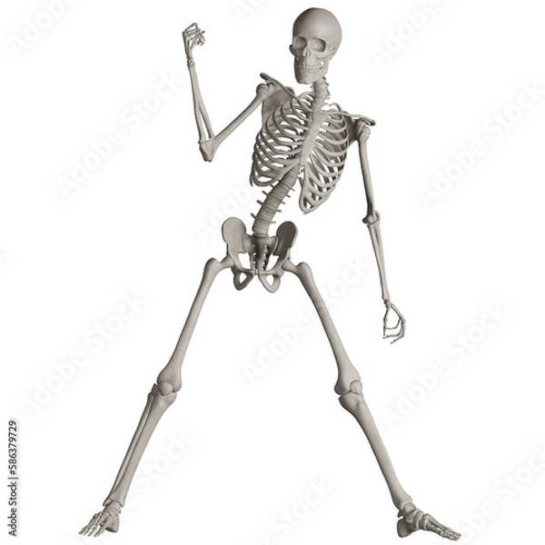 Fototapeta skeleton posing 3d render illustration