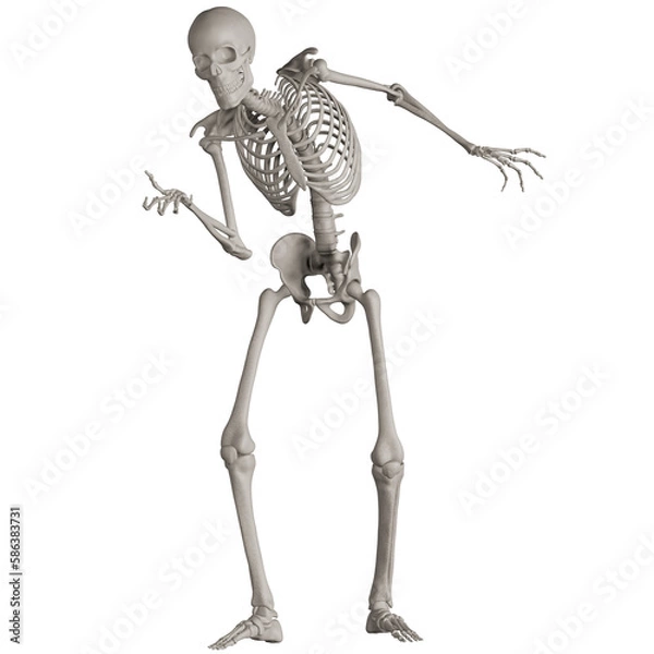 Fototapeta skeleton posing 3d render illustration with transparent background