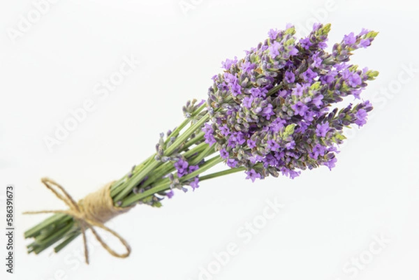 Obraz Lavender bouquets on an isolated background. Purple flowers.