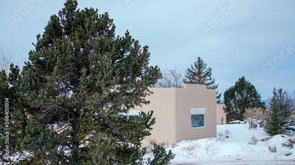 Obraz house in snow