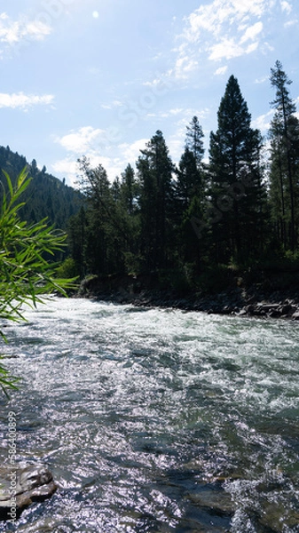 Obraz river in the mountains