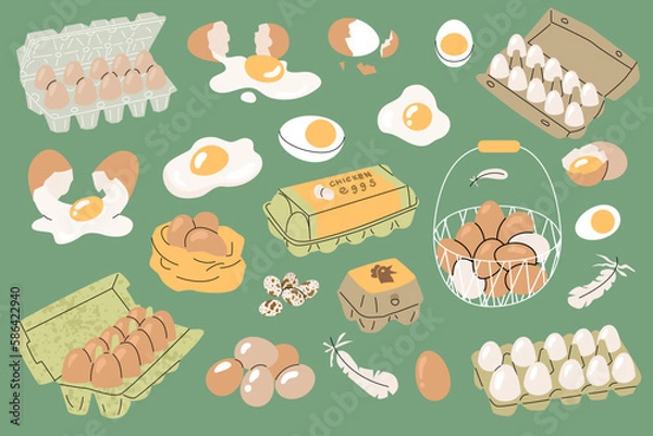 Fototapeta A set of images of eggs in different packages and states. Boiled, broken, fried, scrambled eggs, quail egg. Farm food, agricultural production. Vector objects isolated from the background.