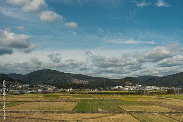 Obraz 青空と野原